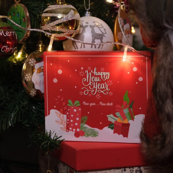 لعبة السنة الجديدة New Year